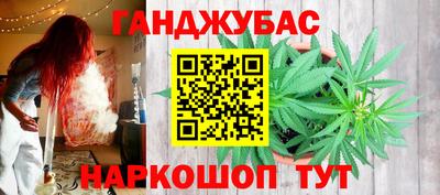 сатива Лесосибирск