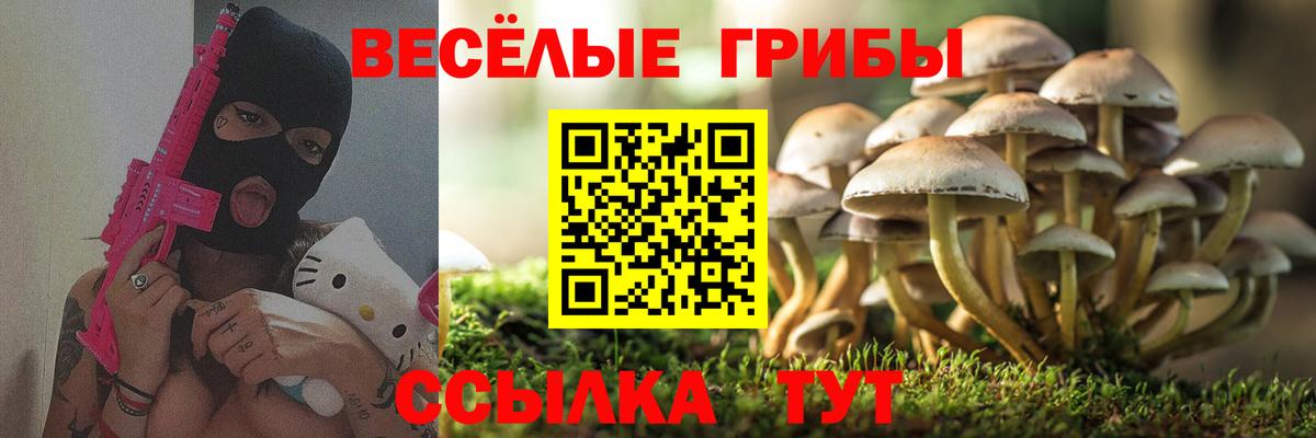 Галлюциногенные грибы мицелий Десногорск